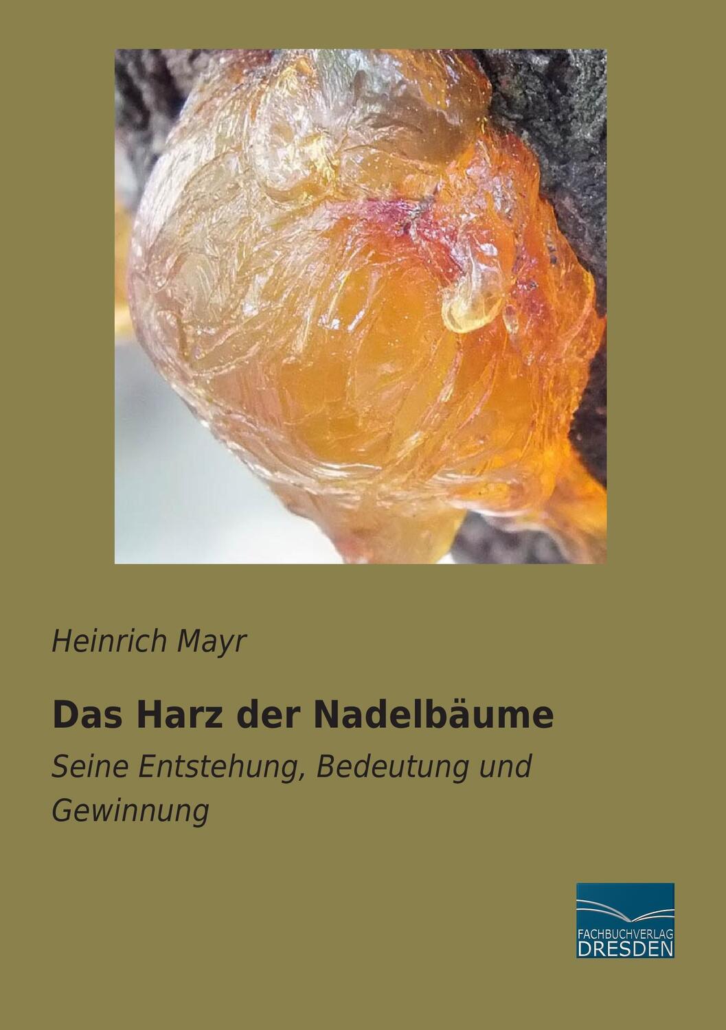Cover: 9783956921728 | Das Harz der Nadelbäume | Seine Entstehung, Bedeutung und Gewinnung