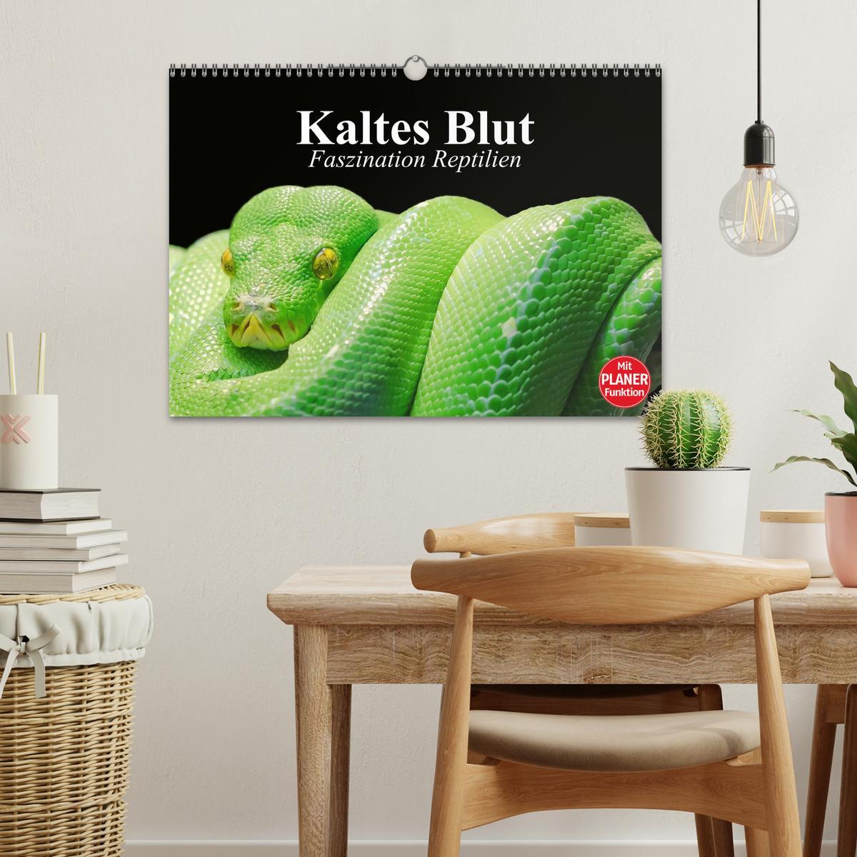 Bild: 9783435529261 | Kaltes Blut. Faszination Reptilien (Wandkalender 2025 DIN A3 quer),...