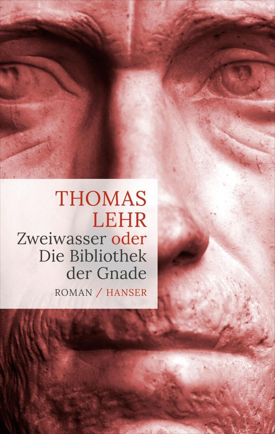 Cover: 9783446247109 | Zweiwasser | oder Die Bibliothek der Gnade, Roman | Thomas Lehr | Buch