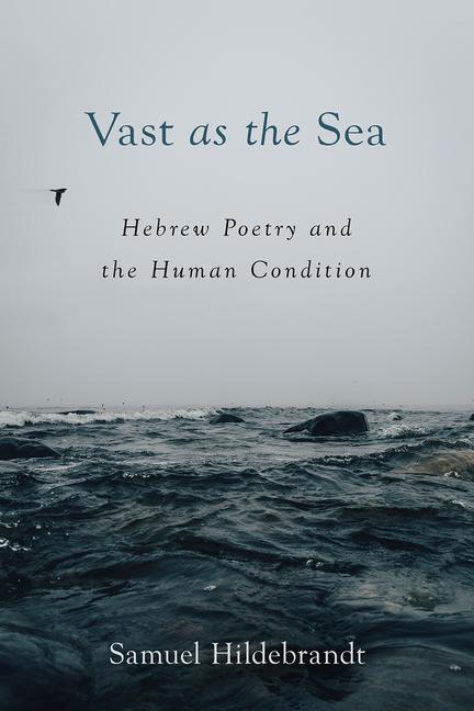 Cover: 9781506485492 | Vast as the Sea | Hebrew Poetry and the Human Condition | Hildebrandt