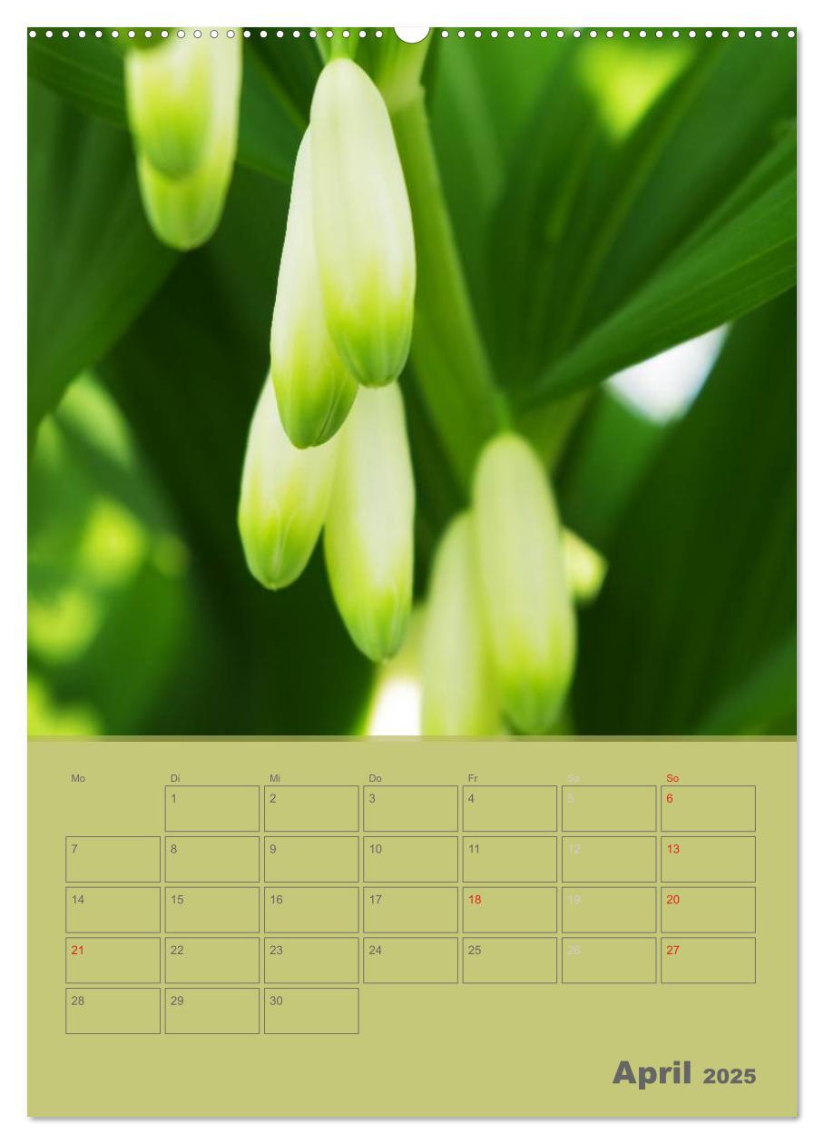 Bild: 9783457087817 | Naturbilder (Wandkalender 2025 DIN A2 hoch), CALVENDO Monatskalender