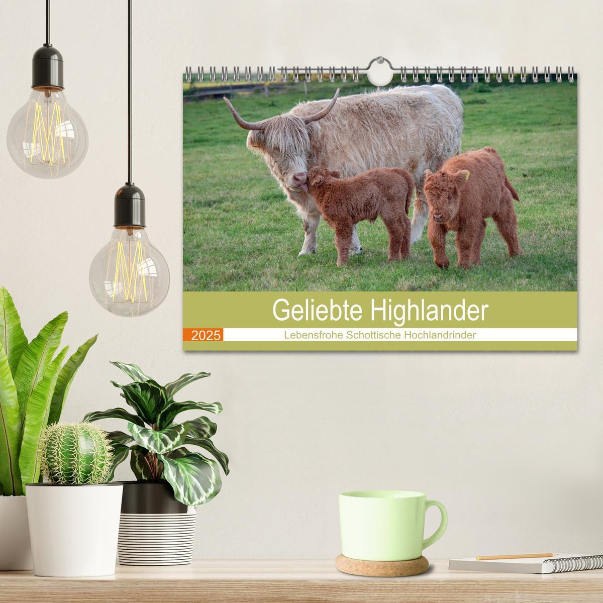 Bild: 9783435101252 | Geliebte Highlander (Wandkalender 2025 DIN A4 quer), CALVENDO...