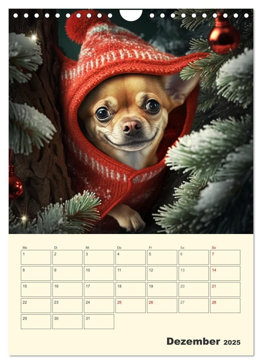 Bild: 9783435871766 | Witzige Chihuahuas. Glückliche Temperamentbündel (Wandkalender 2025...