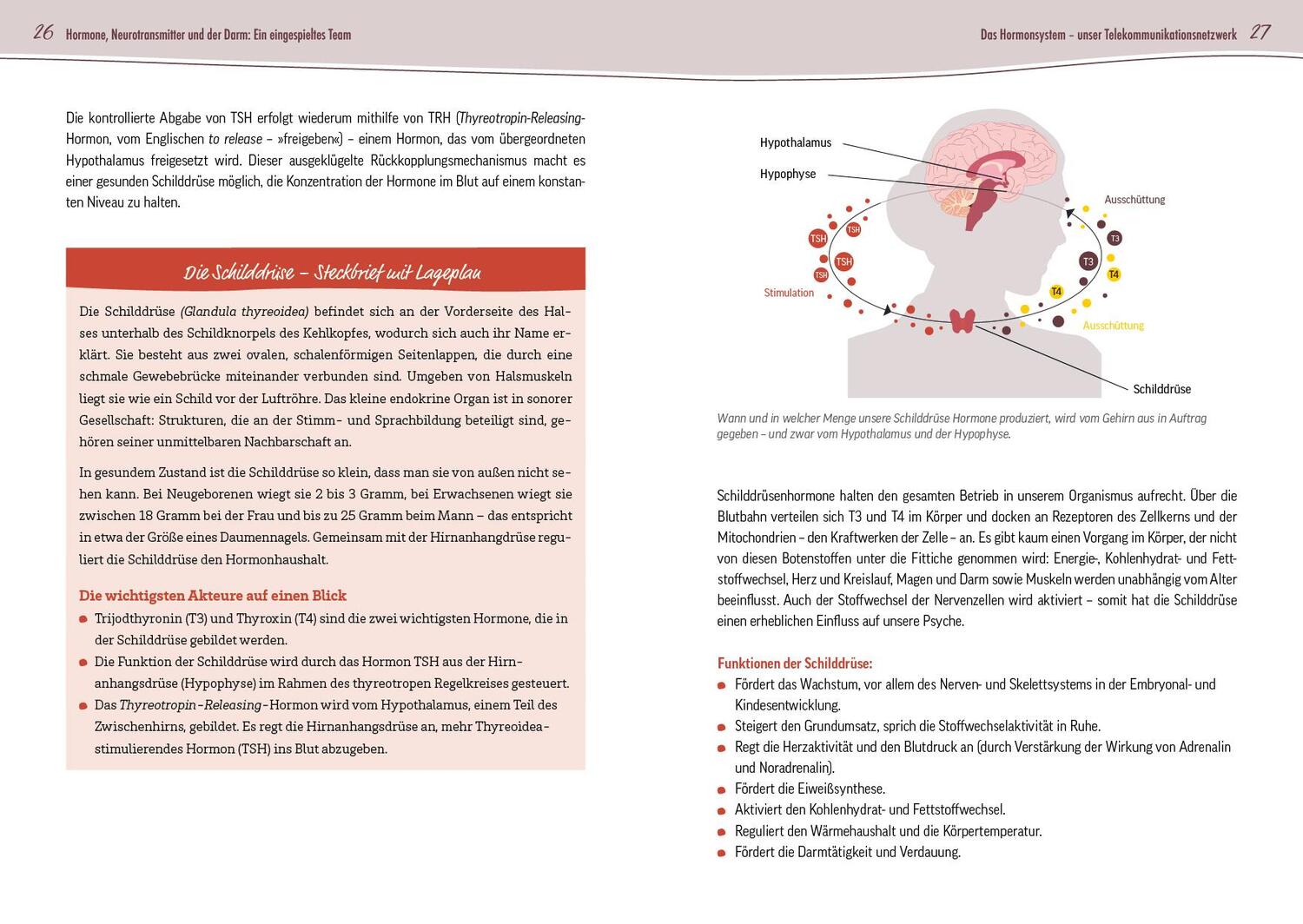 Bild: 9783742325143 | Glück ist Hormonsache | Sylvia Neubauer (u. a.) | Taschenbuch | 192 S.