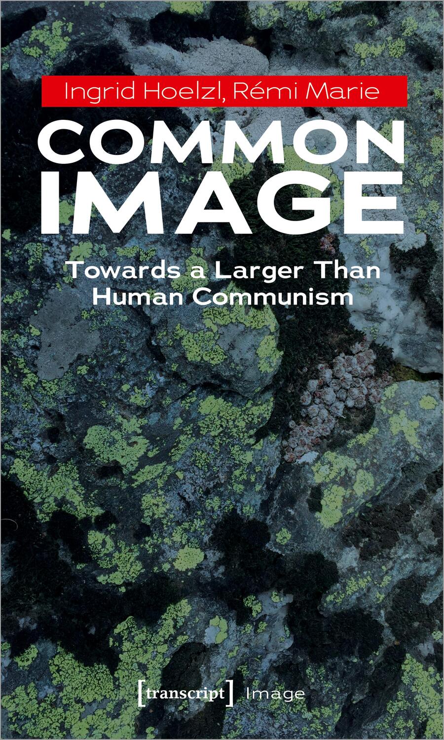 Cover: 9783837659399 | Common Image | Towards a Larger Than Human Communism | Hoelzl (u. a.)