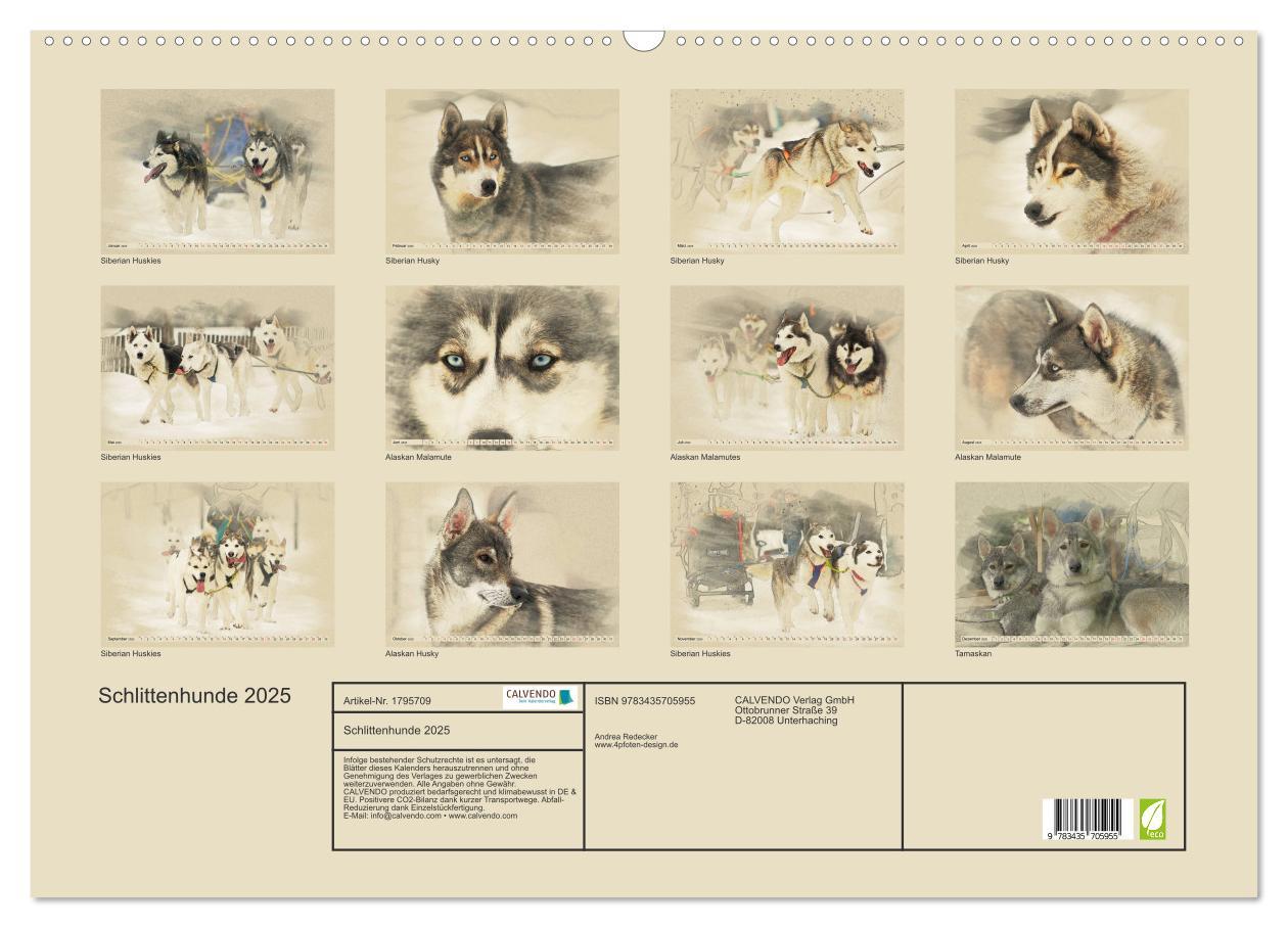 Bild: 9783435705955 | Schlittenhunde 2025 (Wandkalender 2025 DIN A2 quer), CALVENDO...