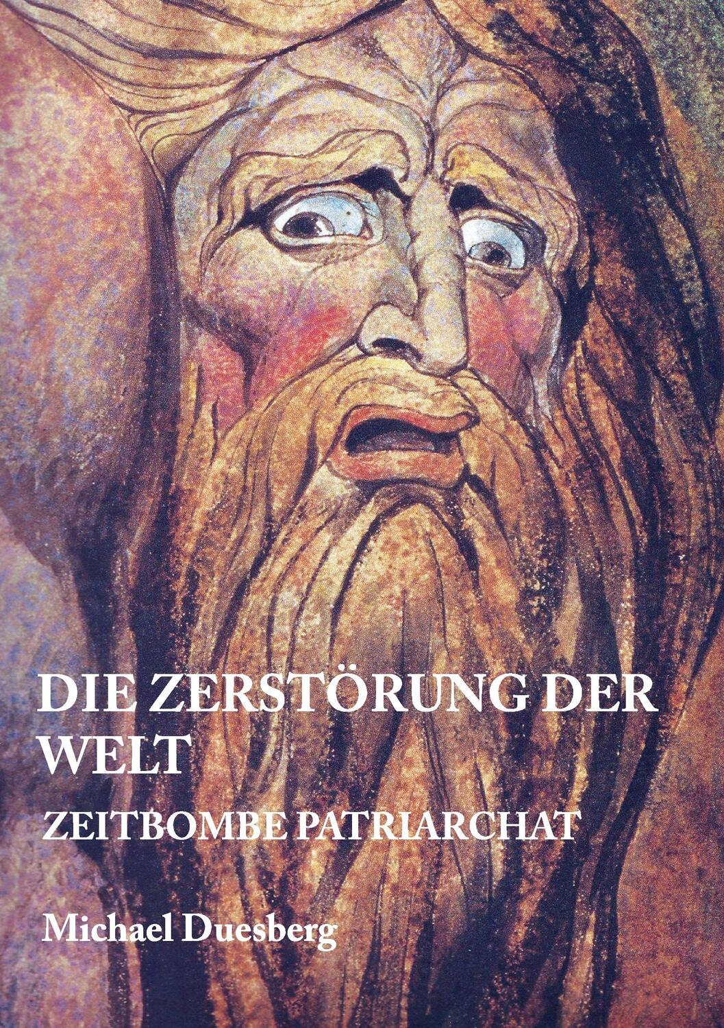 Cover: 9783734508110 | DIE ZERSTÖRUNG DER WELT | Zeitbombe Patriarchat | Michael Duesberg