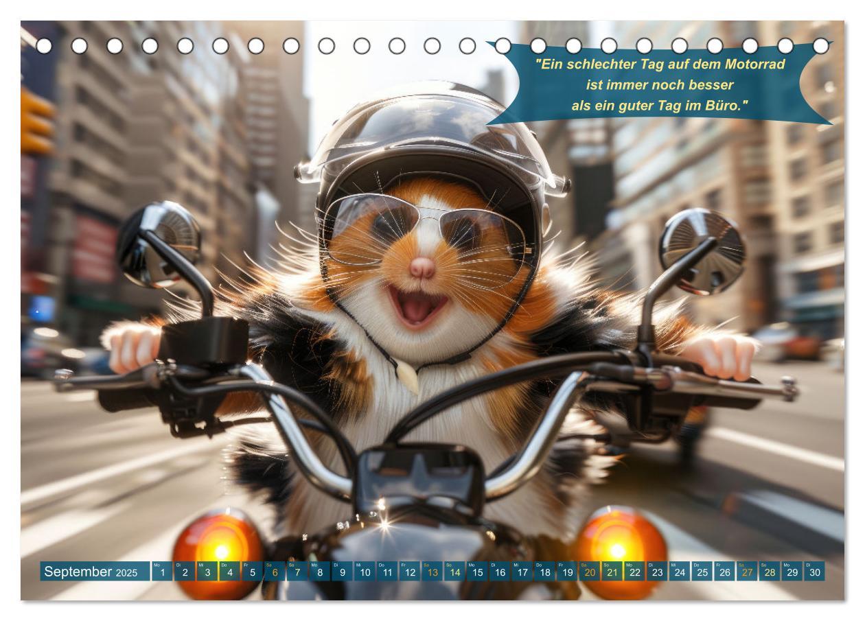 Bild: 9783457166116 | Tierisch lustige Motorradfahrer (Tischkalender 2025 DIN A5 quer),...