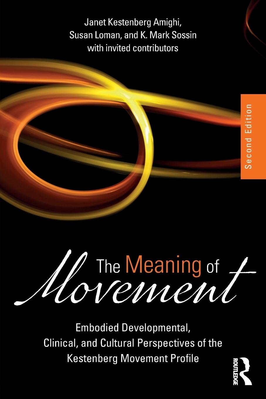 Cover: 9781138484634 | The Meaning of Movement | Janet Kestenberg Amighi (u. a.) | Buch