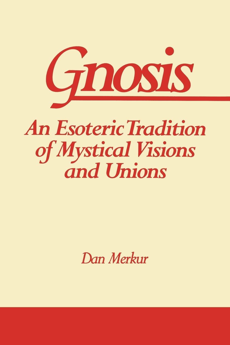 Cover: 9780791416204 | Gnosis | An Esoteric Tradition of Mystical Visions and Unions | Merkur