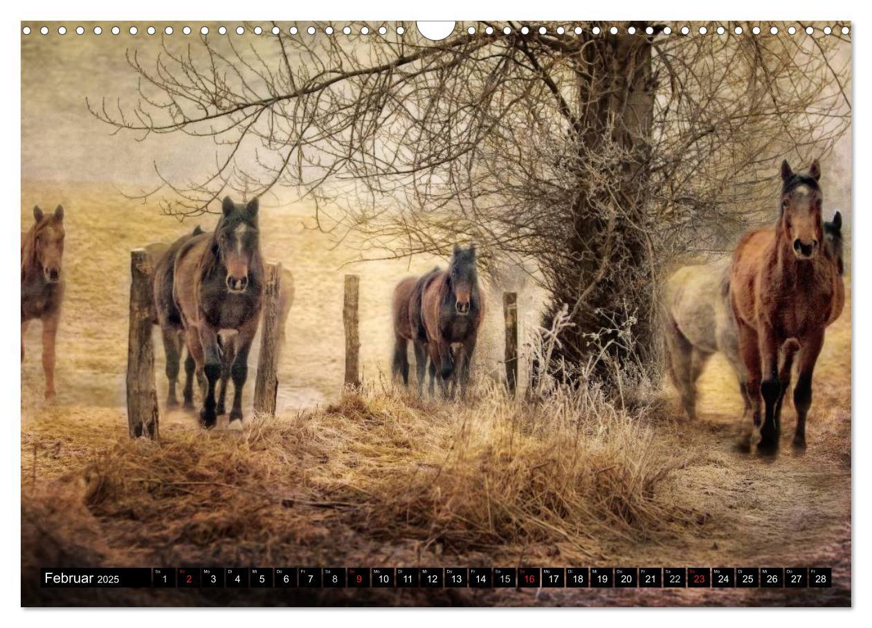 Bild: 9783435490158 | Western und Pferde (Wandkalender 2025 DIN A3 quer), CALVENDO...