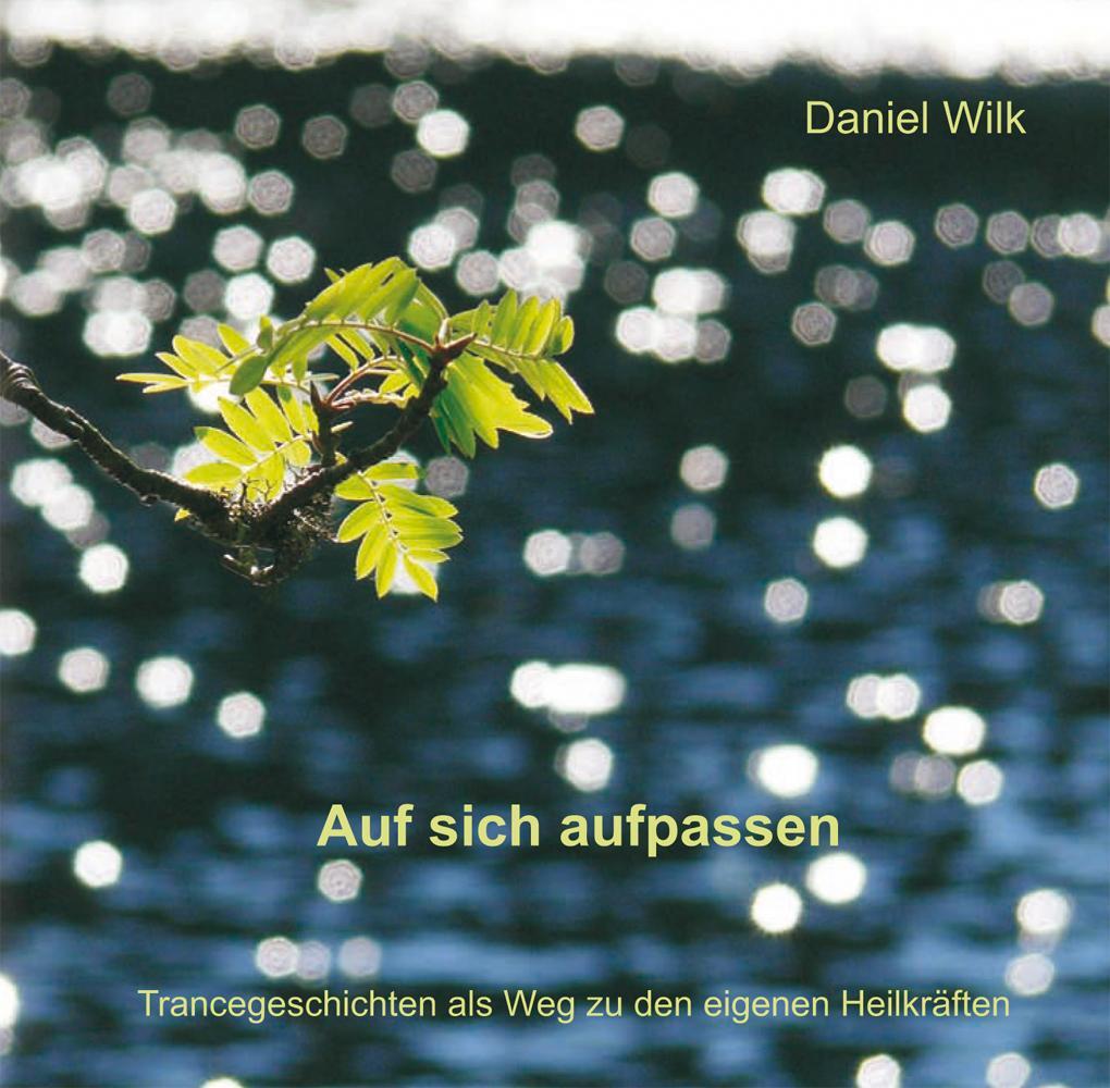 Cover: 9783896702678 | Auf sich aufpassen | Daniel Wilk | Audio-CD | Deutsch | 2010