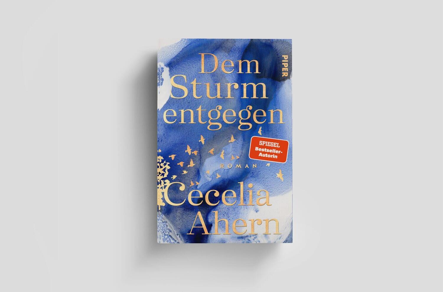 Bild: 9783492071819 | Dem Sturm entgegen | Cecelia Ahern | Buch | 448 S. | Deutsch | 2024