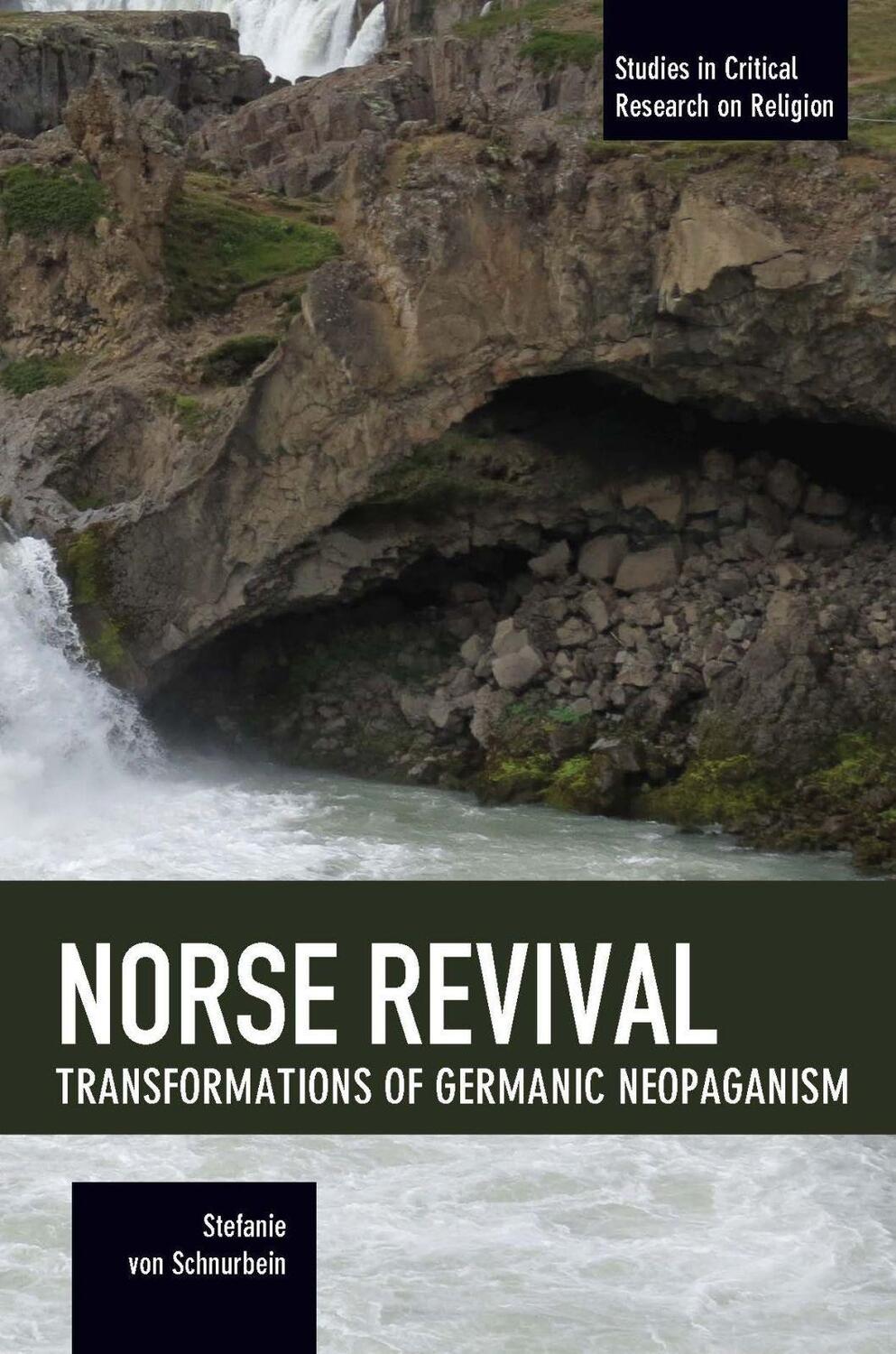 Cover: 9781608467372 | Norse Revival: Transformations of Germanic Neopaganism | Schnurbein