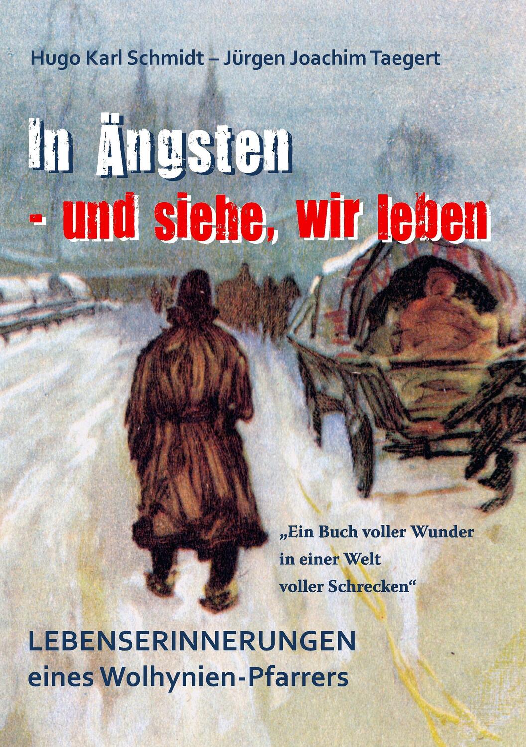 Cover: 9783739238968 | In Ängsten - und siehe, wir leben | Hugo K. Schmidt | Taschenbuch