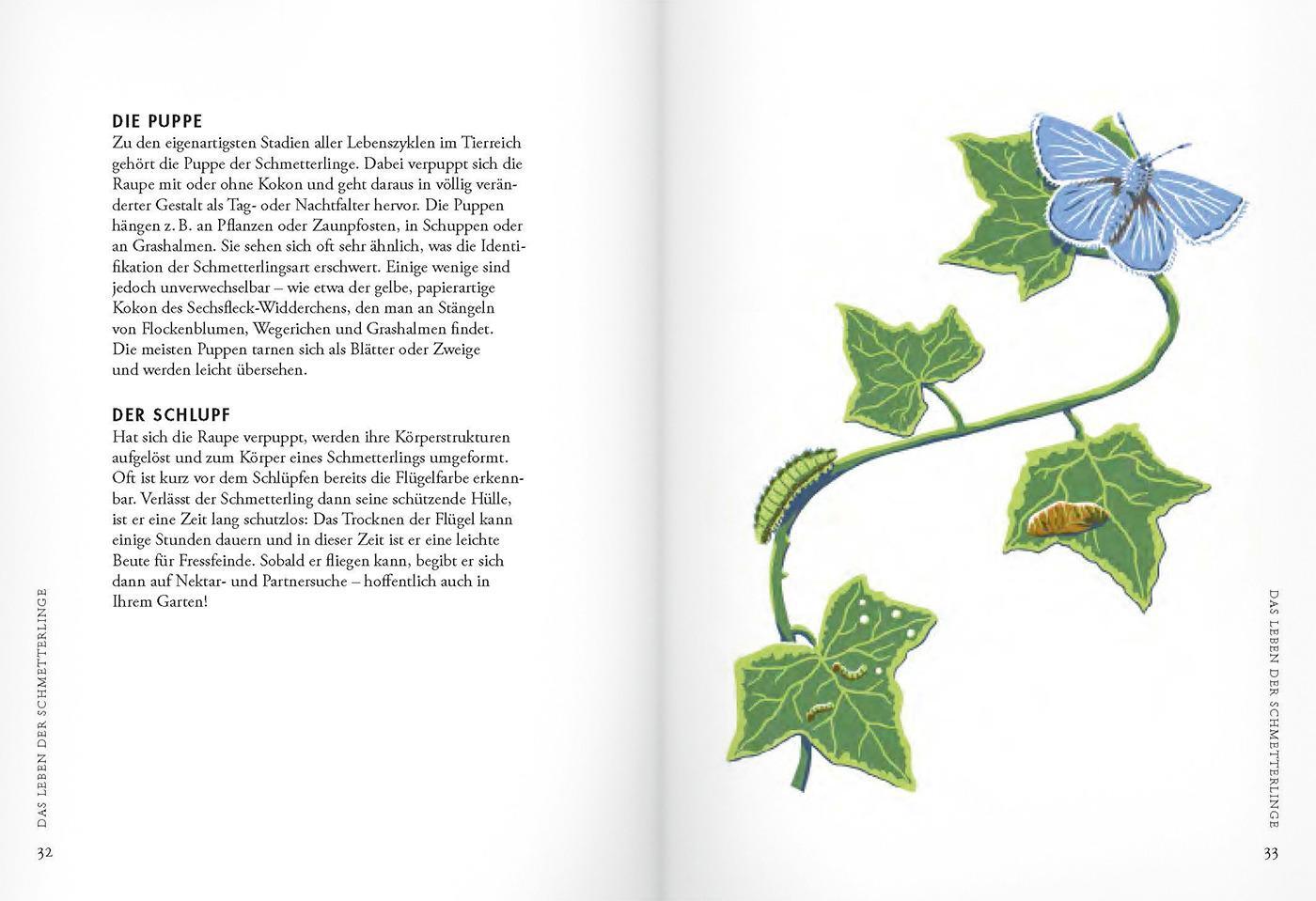 Bild: 9783836921701 | Pflanzen für Schmetterlinge | Jane Moore | Buch | Deutsch | 2020