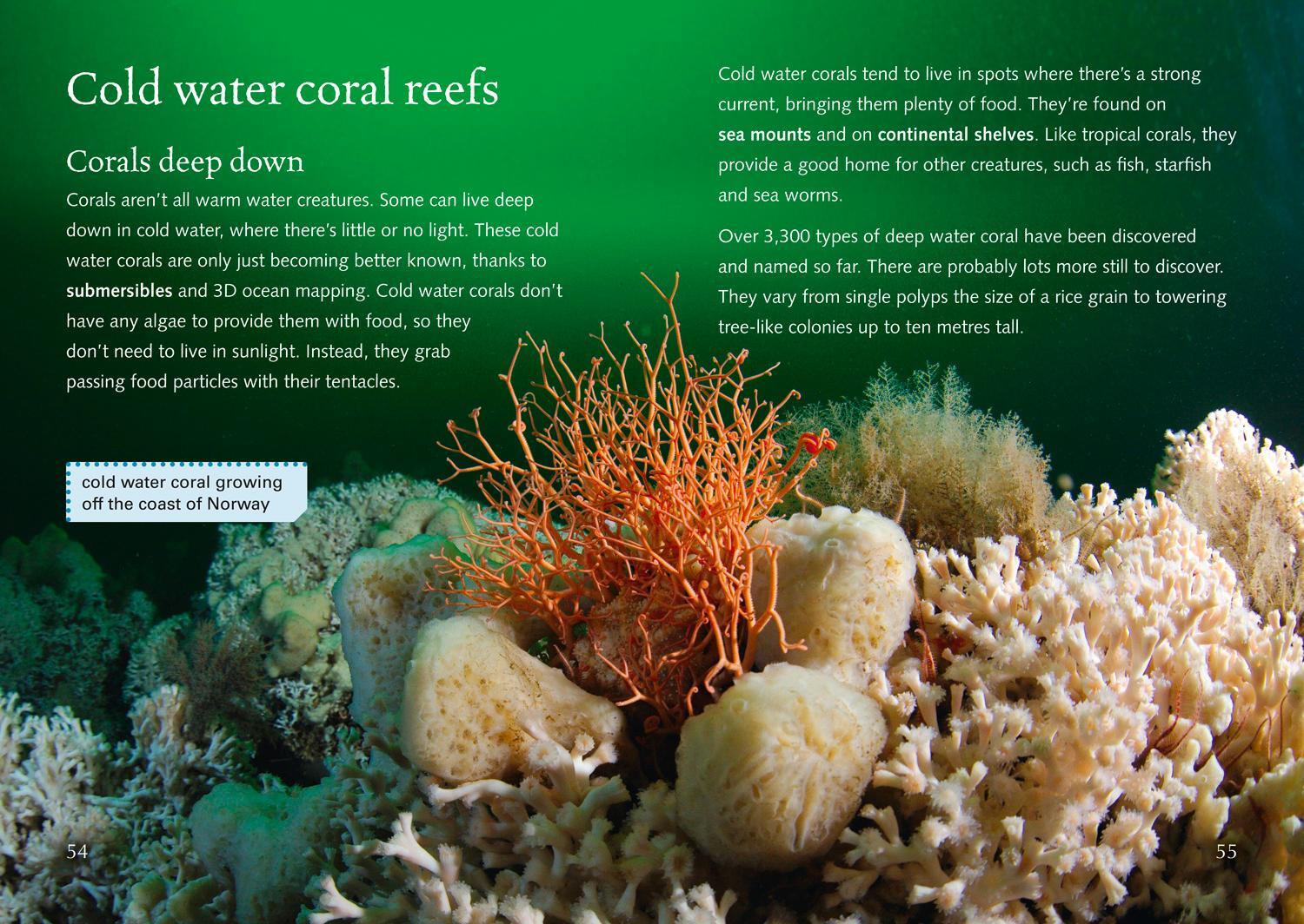 Bild: 9780008164034 | Coral Reefs | Band 18/Pearl | Moira Butterfield | Taschenbuch | 2016