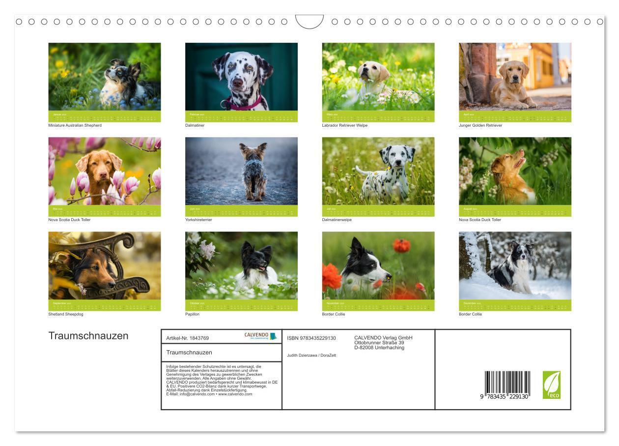 Bild: 9783435229130 | Traumschnauzen (Wandkalender 2025 DIN A3 quer), CALVENDO...