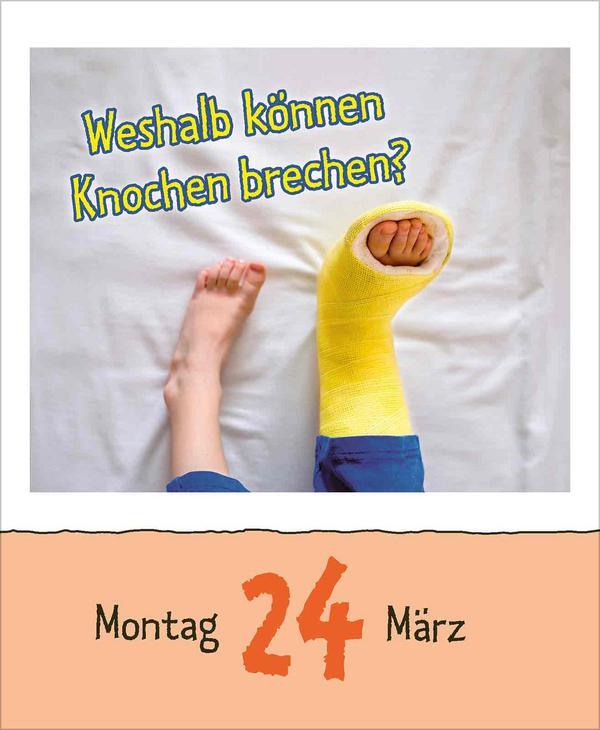 Bild: 9783731877363 | Warum wackelt Wackelpudding? 2025 | Verlag Korsch | Kalender | 328 S.