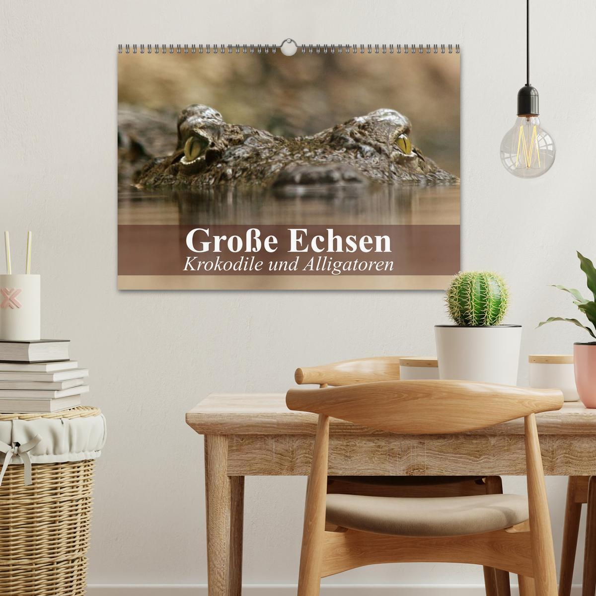 Bild: 9783435600878 | Große Echsen. Krokodile und Alligatoren (Wandkalender 2025 DIN A3...