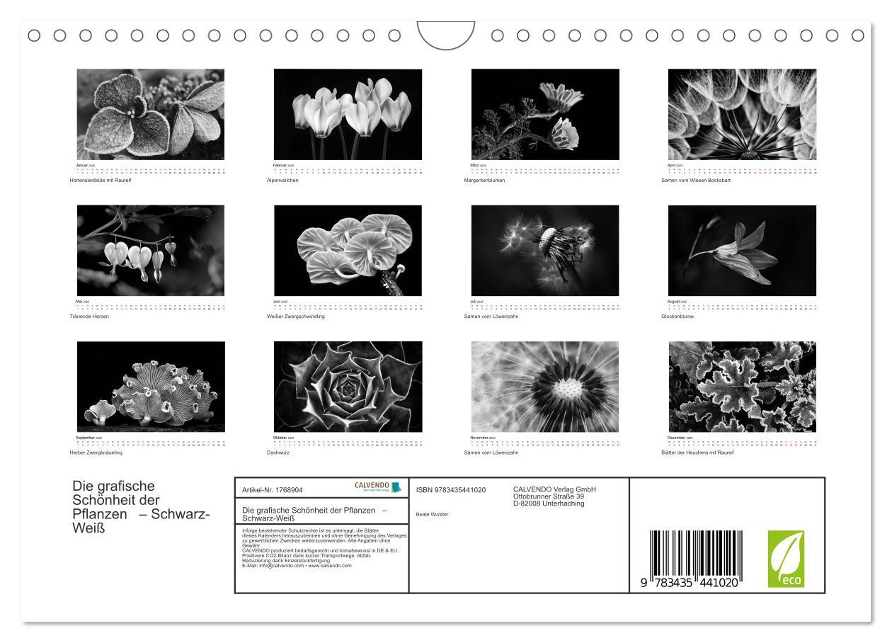 Bild: 9783435441020 | Die grafische Schönheit der Pflanzen ¿ Schwarz-Weiß (Wandkalender...