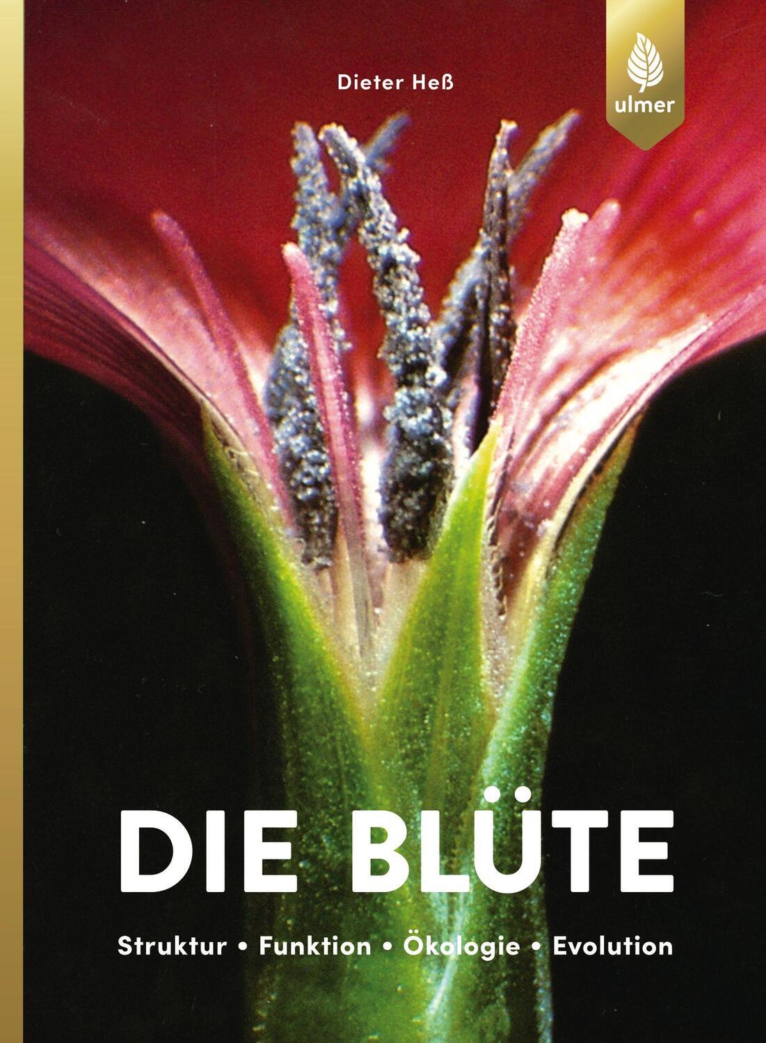 Cover: 9783818600648 | Die Blüte | Struktur, Funktion, Ökologie, Evolution | Dieter Heß