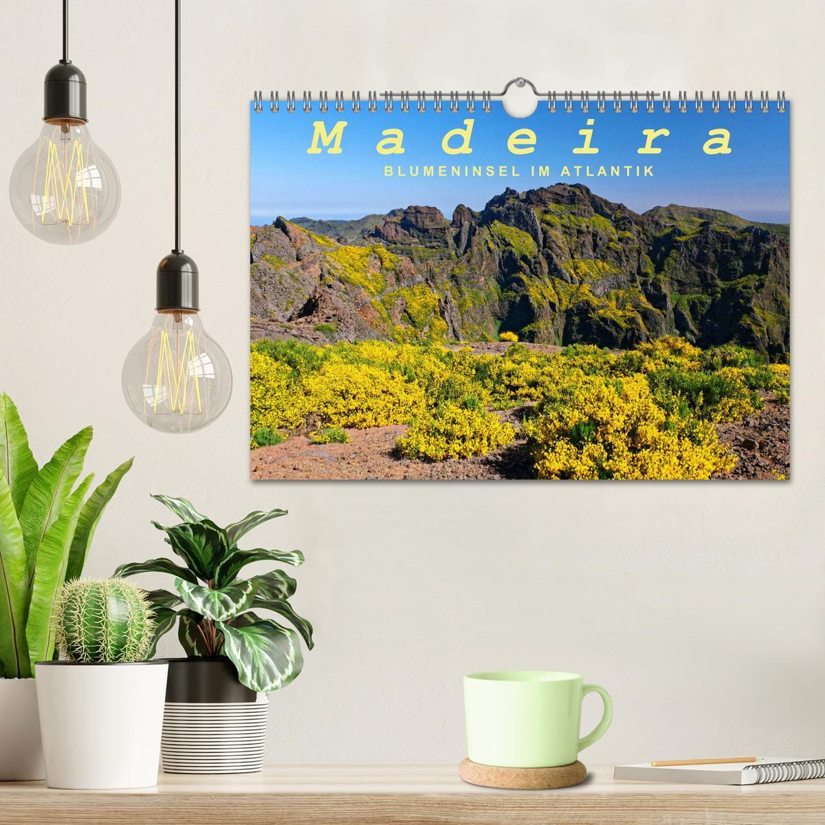 Bild: 9783383794247 | Madeira Blumeninsel im Atlantik (Wandkalender 2025 DIN A4 quer),...