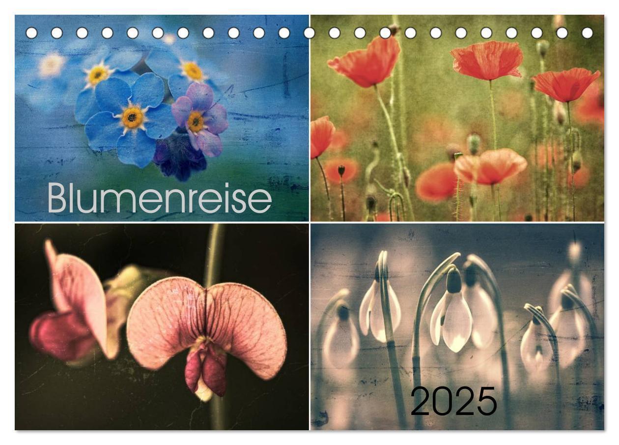 Cover: 9783435611355 | Blumenreise 2025 (Tischkalender 2025 DIN A5 quer), CALVENDO...