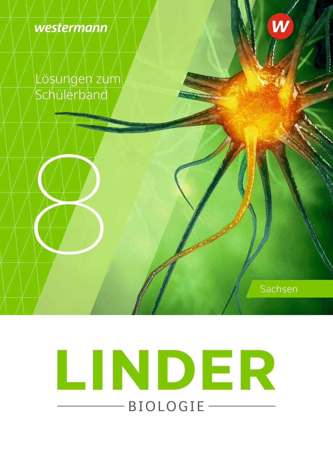 Cover: 9783141530223 | LINDER Biologie SI 8. Lösungen. Sachsen | Broschüre | 48 S. | Deutsch