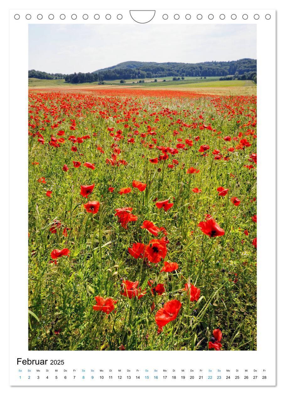 Bild: 9783435968831 | Natur genießen - Hunsrück, Mosel und Eifel (Wandkalender 2025 DIN...