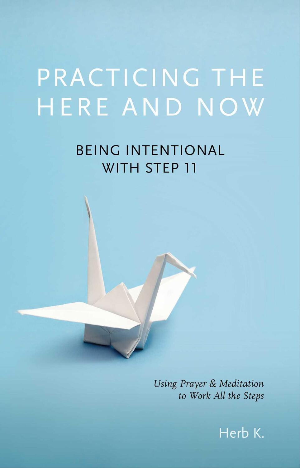 Cover: 9781616496746 | Practicing the Here and Now: Being Intentional with Step 11, Using...