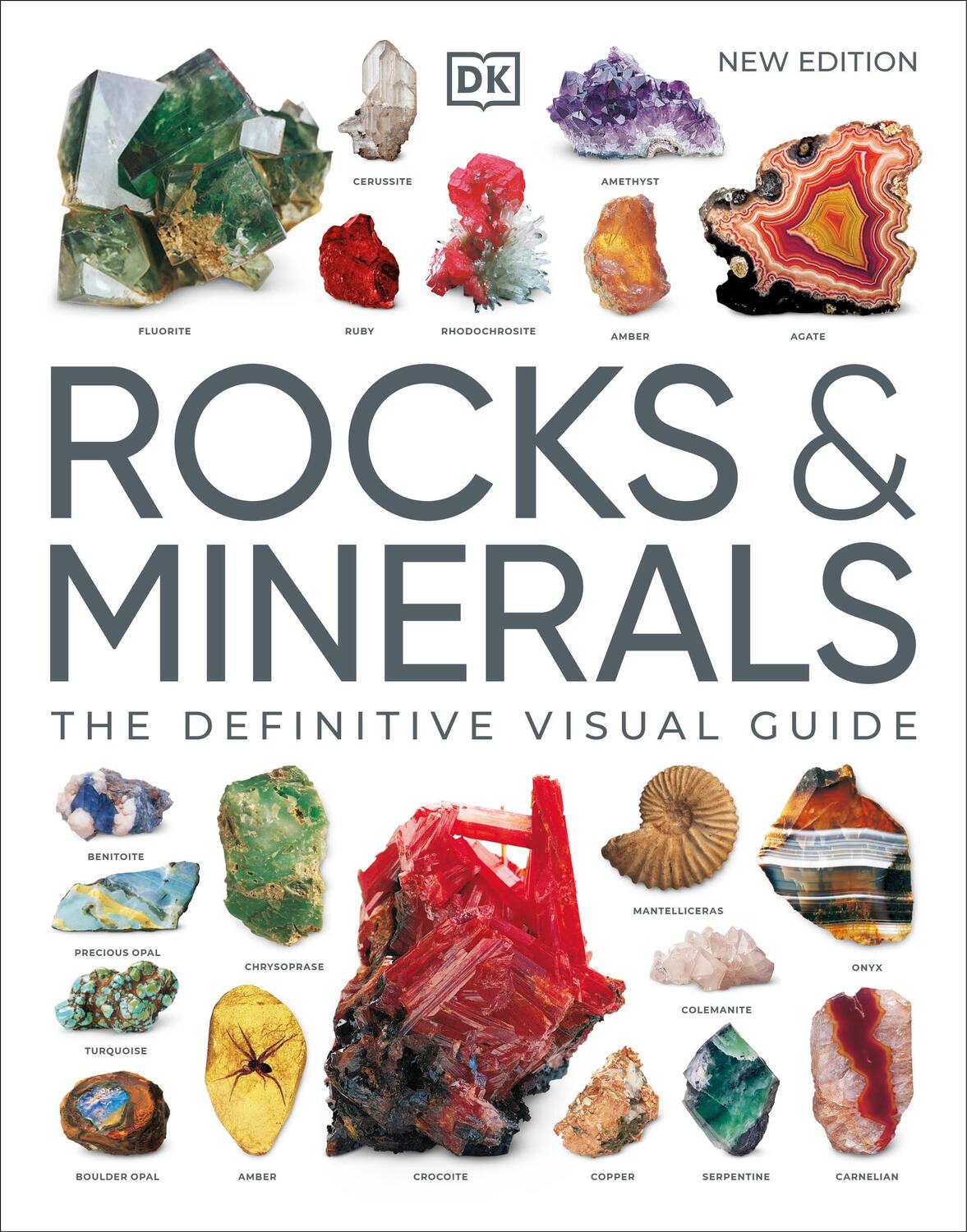Cover: 9780241600481 | Rocks &amp; Minerals | The Definitive Visual Guide | Dk | Taschenbuch