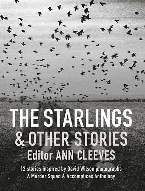 Cover: 9781909823747 | Starlings and Other Stories, The | Various | Taschenbuch | Englisch