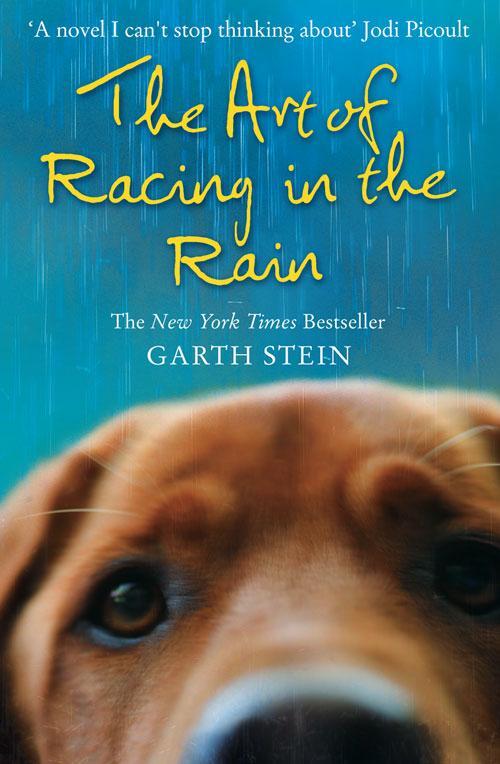 Cover: 9780007281190 | The Art of Racing in the Rain | Garth Stein | Taschenbuch | Englisch