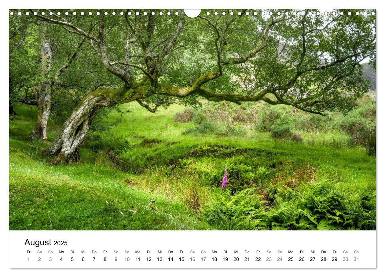 Bild: 9783383914812 | Wales - Eine Hommage an berührende Landschaften (Wandkalender 2025...