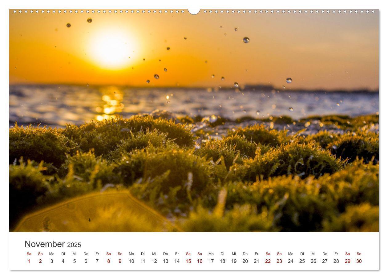 Bild: 9783383927003 | Die Sonneninsel Zypern (Wandkalender 2025 DIN A2 quer), CALVENDO...