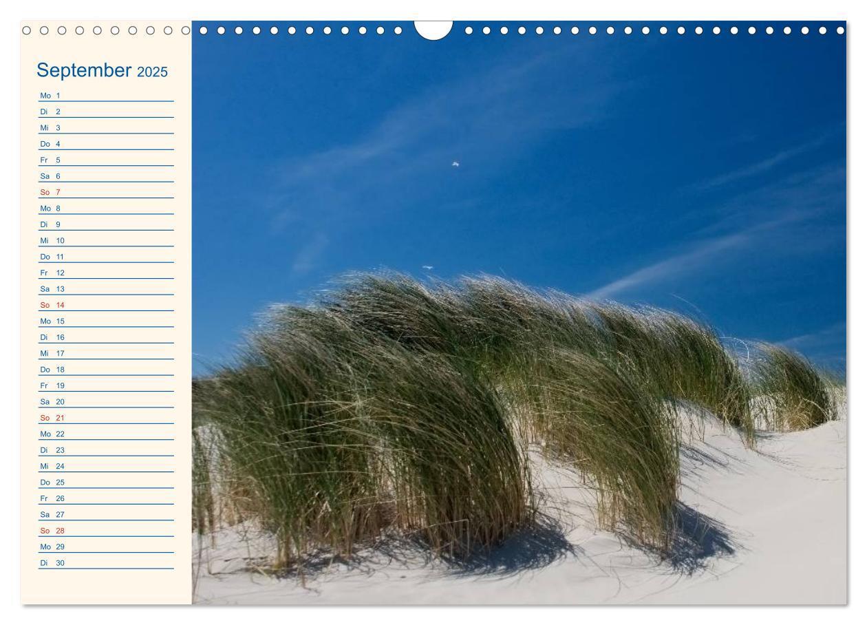 Bild: 9783435507658 | Urlaub auf Borkum (Wandkalender 2025 DIN A3 quer), CALVENDO...