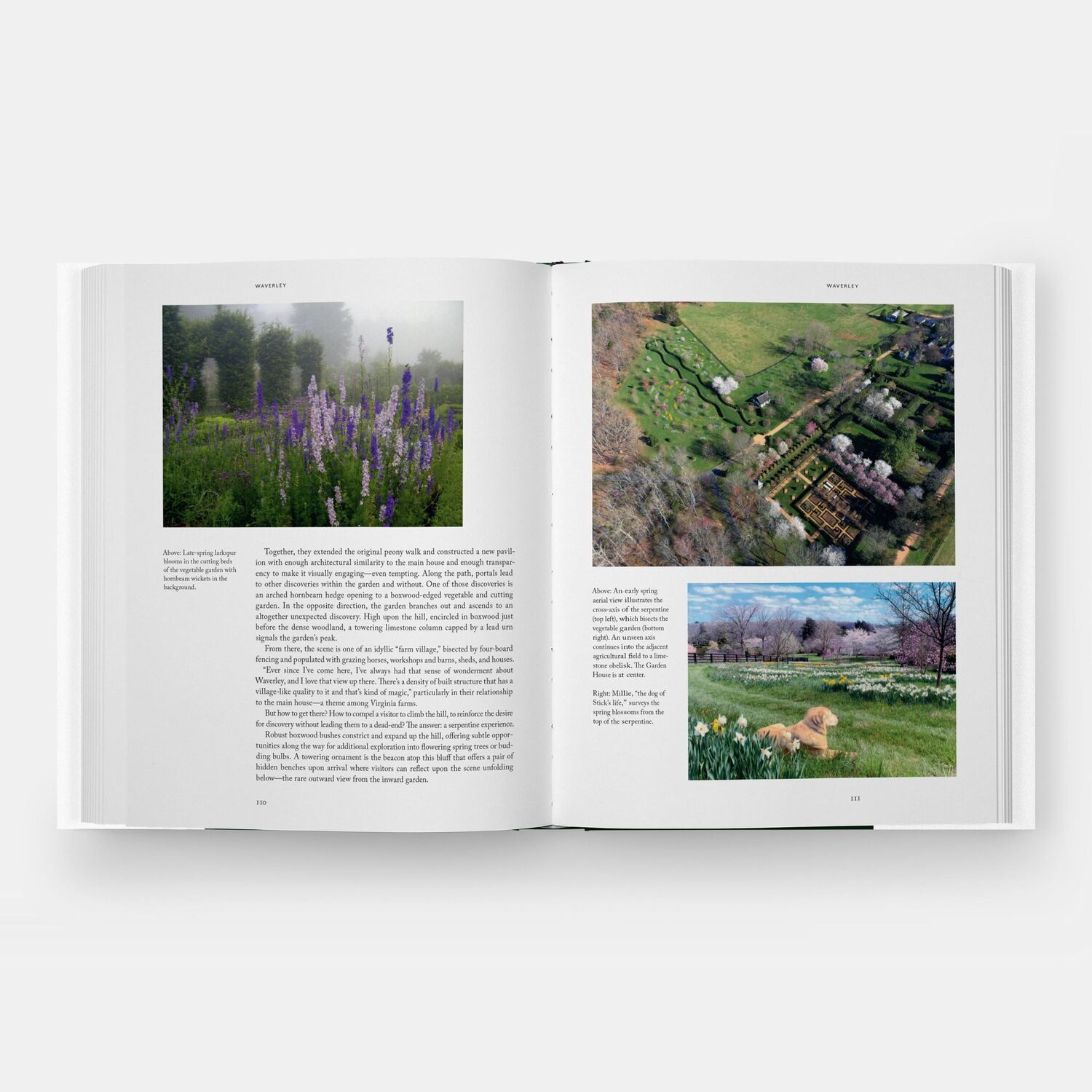 Bild: 9781580936446 | Charles J. Stick and His Gardens | Jeff Poole | Buch | 224 S. | 2024