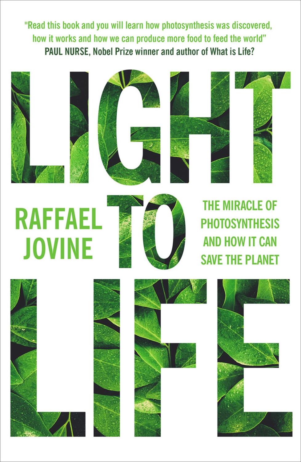 Cover: 9781780725420 | Light to Life | Raffael Jovine | Taschenbuch | Kartoniert / Broschiert