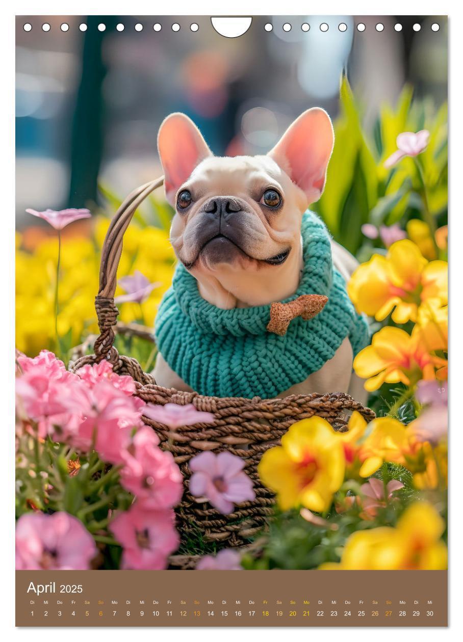 Bild: 9783383770463 | Frenchie Couture - Französische Bulldoggen in Strick-Chic...