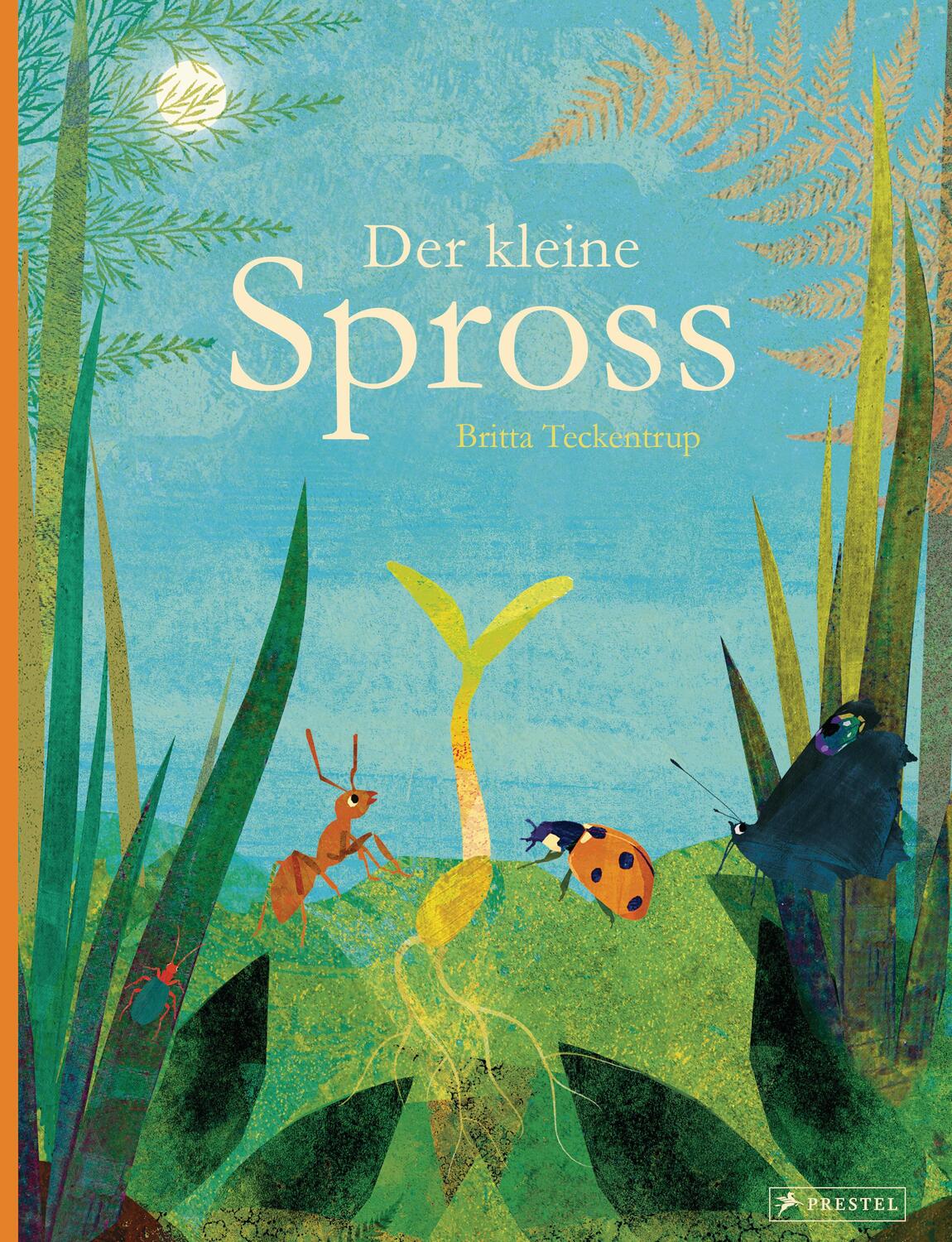 Cover: 9783791374307 | Der kleine Spross | Britta Teckentrup | Buch | 48 S. | Deutsch | 2020