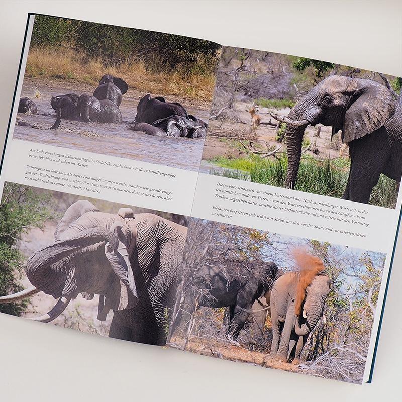 Bild: 9783446269316 | Elefanten | Das Leben der Riesen zwischen Geburt, Familie und Tod