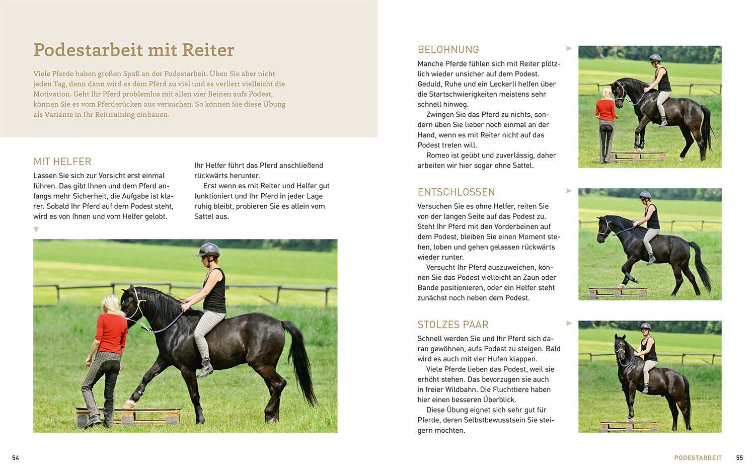 Bild: 9783440176481 | Zirkustricks mit Pferden | Sigrid Schöpe | Taschenbuch | 80 S. | 2024