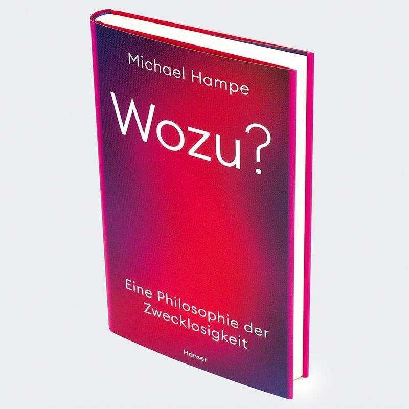 Bild: 9783446279162 | Wozu? | Eine Philosophie der Zwecklosigkeit | Michael Hampe | Buch