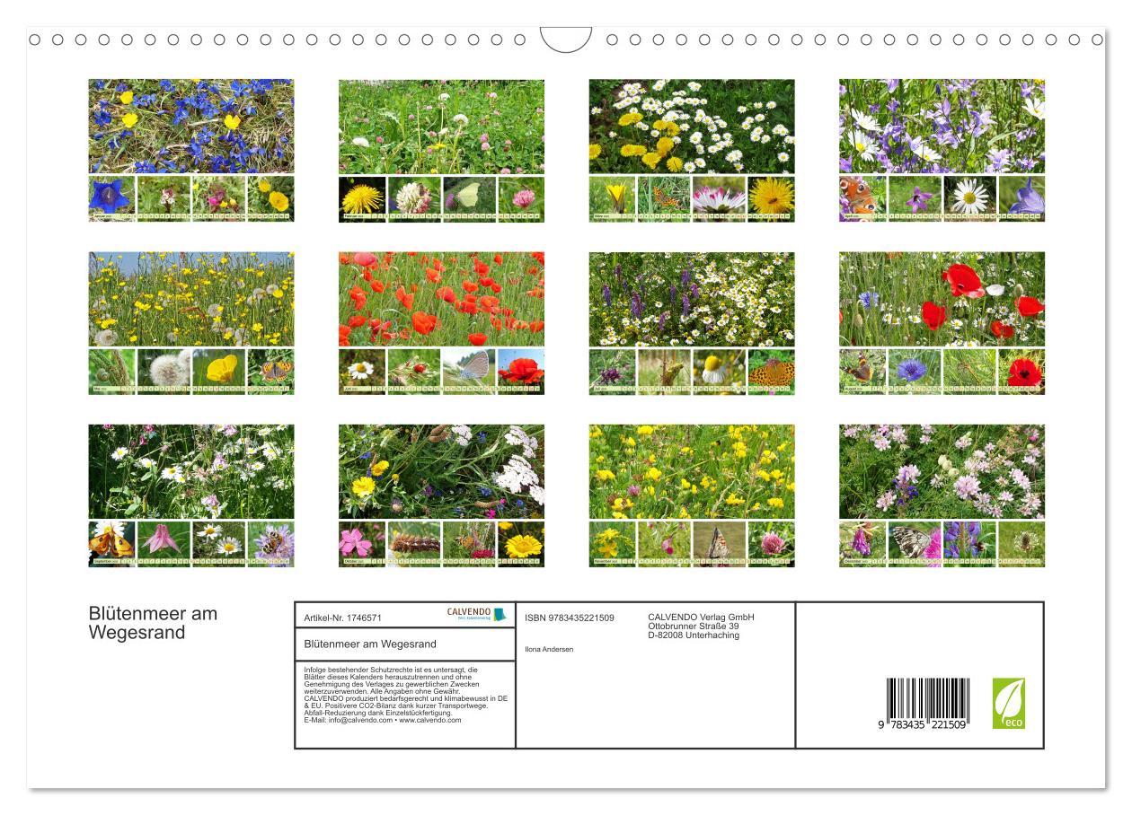 Bild: 9783435221509 | Blütenmeer am Wegesrand (Wandkalender 2025 DIN A3 quer), CALVENDO...