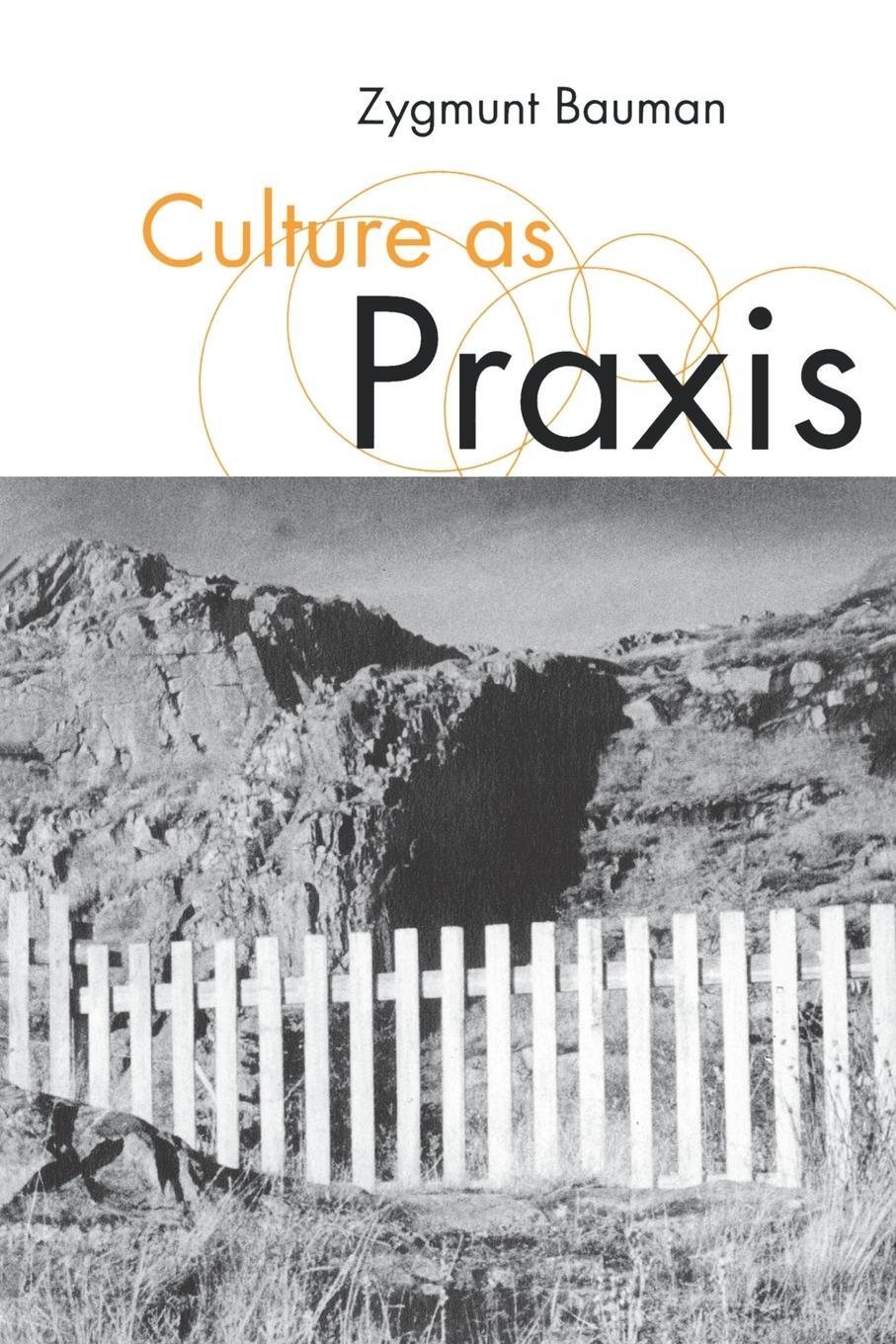 Cover: 9780761959892 | Culture as Praxis | Zygmunt Bauman | Taschenbuch | Paperback | 1998