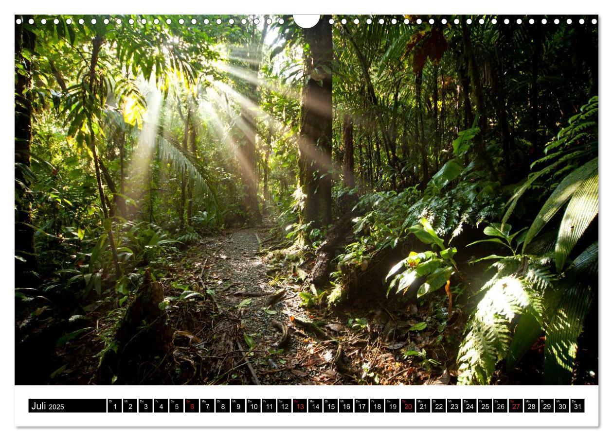 Bild: 9783435830657 | Costa Rica (Wandkalender 2025 DIN A3 quer), CALVENDO Monatskalender