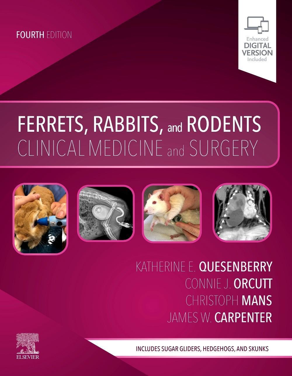 Cover: 9780323484350 | Ferrets, Rabbits, and Rodents | Clinical Medicine and Surgery | Buch
