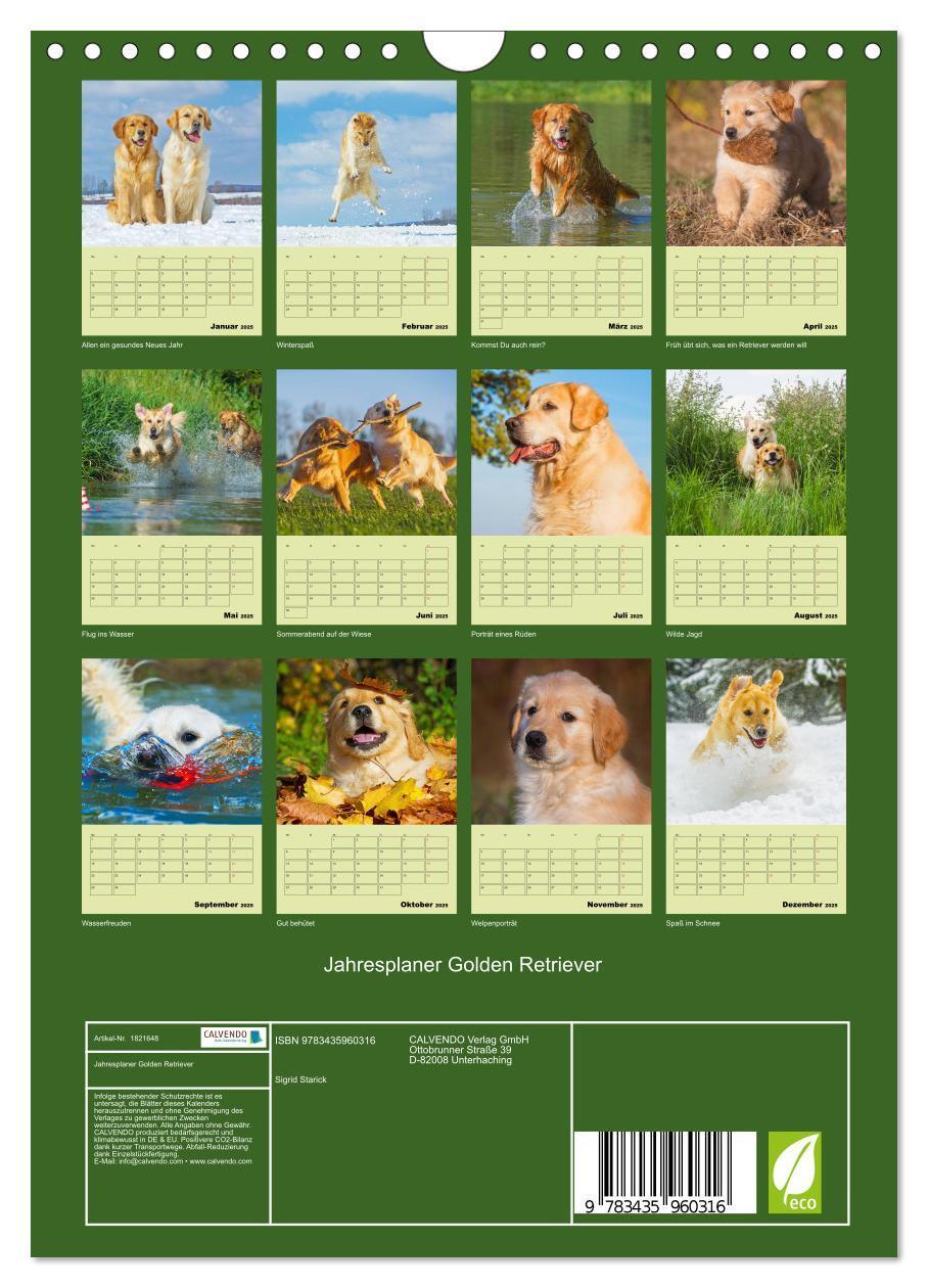 Bild: 9783435960316 | Jahresplaner Golden Retriever (Wandkalender 2025 DIN A4 hoch),...