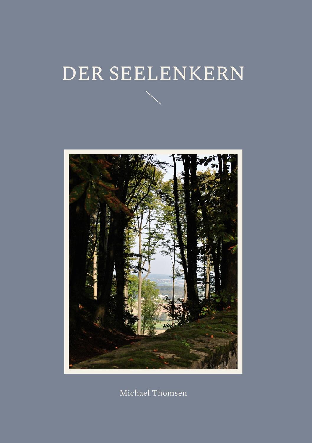 Cover: 9783756879663 | Der Seelenkern | Michael Thomsen | Buch | HC gerader Rücken kaschiert